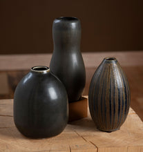 Load image into Gallery viewer, Organic Form Vessel Collection