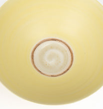 Load image into Gallery viewer, Porcelain Bowl Set