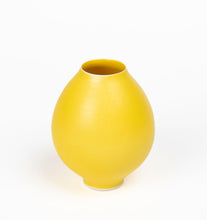 Load image into Gallery viewer, Porcelain Jar Set