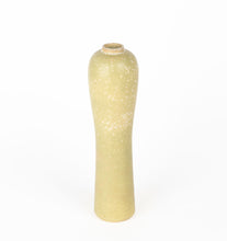Load image into Gallery viewer, Muted Lime Vessel Collection