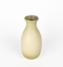 Load image into Gallery viewer, Muted Lime Vessel Collection