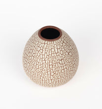 Load image into Gallery viewer, "Snakeskin" Glazed Vase