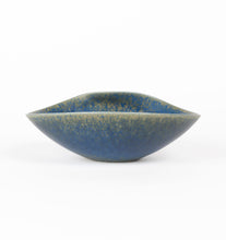 Load image into Gallery viewer, &#39;Vitrin&#39; Series Bowl