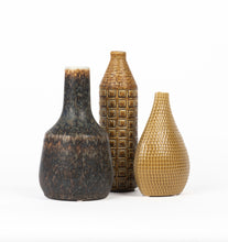 Load image into Gallery viewer, Earth-Toned Vessel Collection
