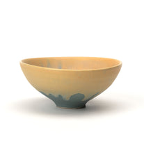 Load image into Gallery viewer, Summer Shape Bowls