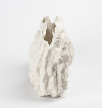 Load image into Gallery viewer, Fissure Series Porcelain Vessels
