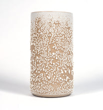 Load image into Gallery viewer, Lichen Glaze Vessels