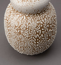 Load image into Gallery viewer, Medium Lichen Gourd Table Lamp Set