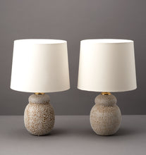 Load image into Gallery viewer, Medium Lichen Gourd Table Lamp Set